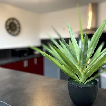 Appartement Superbe Loft Lumineux A Caen Extérieur photo